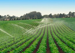 Landwirtschaft und Gewässerschutz
